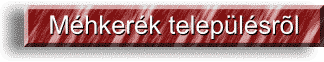 Adatok falunkr�l