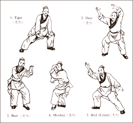 A legenda szerint Hua Tuo a három királyság híres orvosa 5 állat mozgását utánozva tréfás mozdulatokból álló testgyakorlatokat fejlesztett ki.