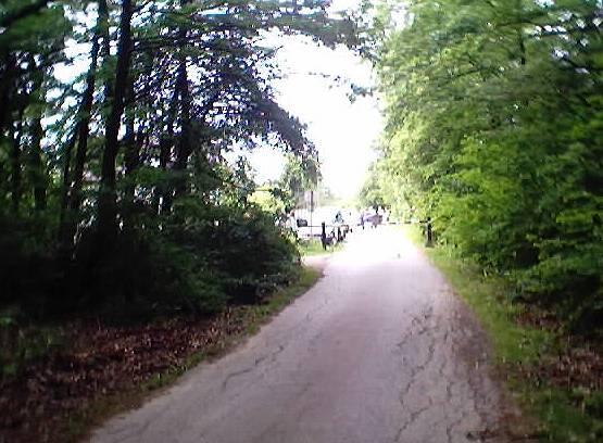 Leaving the forest at Pilisszentlaszlo