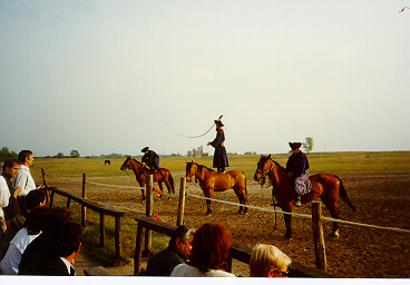 Country Studies